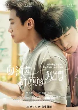 向流星许愿的我们封面图