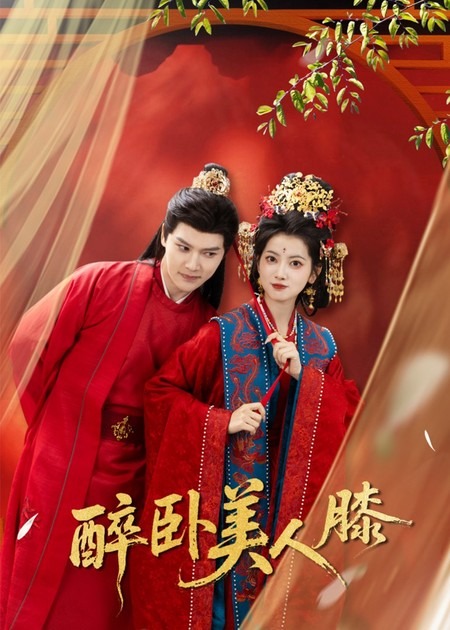 醉卧美人膝封面图