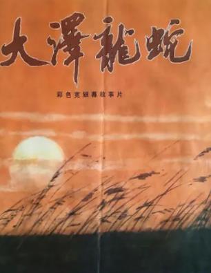大泽龙蛇封面图
