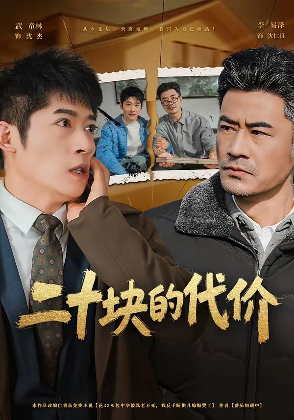 二十块的代价封面图