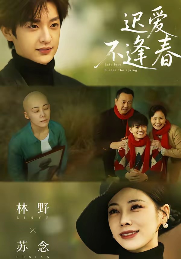 迟爱不逢春封面图