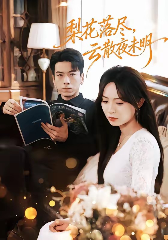 梨花落尽，云散夜未明封面图