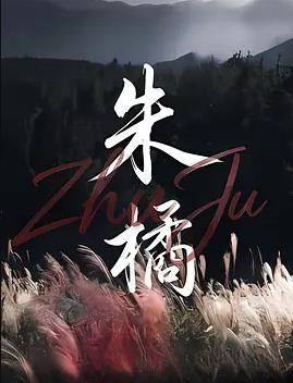 朱橘封面图
