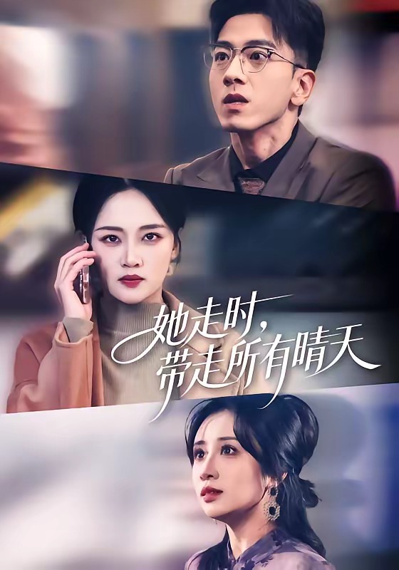 她走时，带走所有晴天封面图