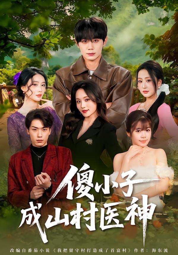 傻小子成山村医神封面图