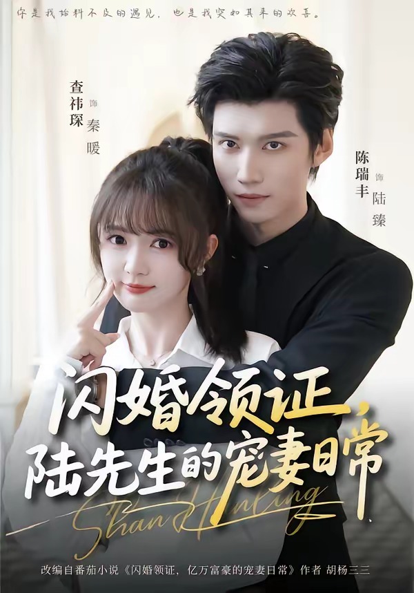 闪婚领证，陆先生的宠妻日常封面图