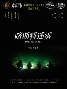 喀斯特迷雾封面图
