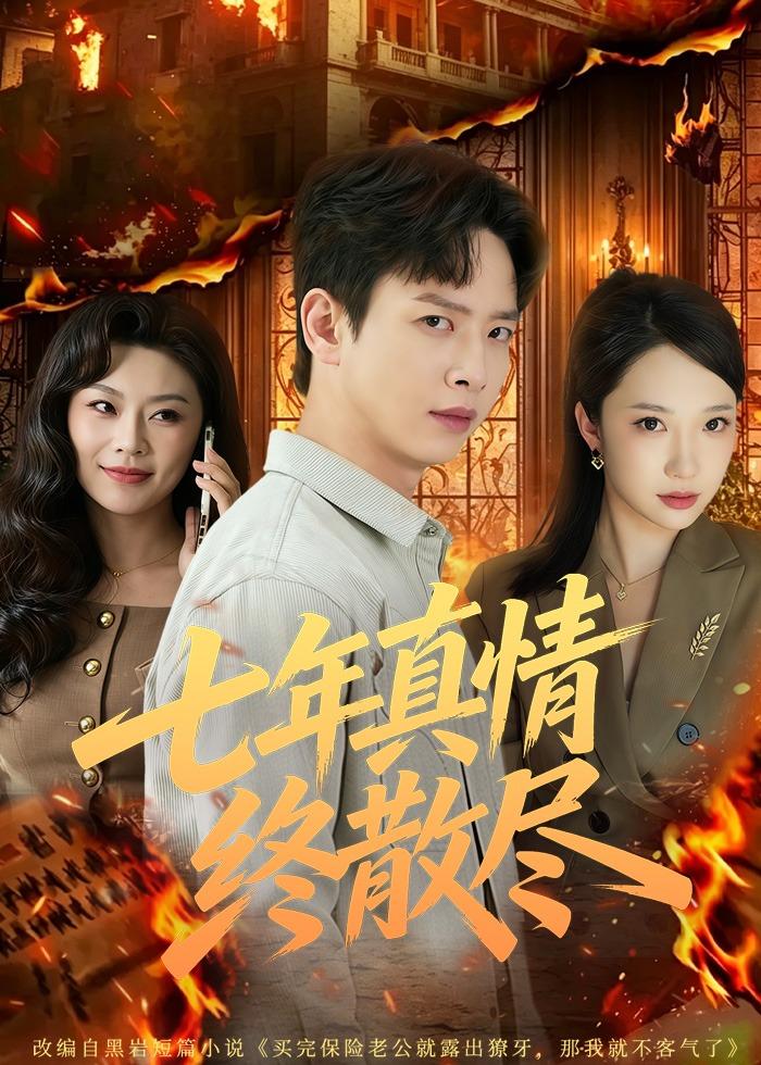 七年真情终散尽封面图
