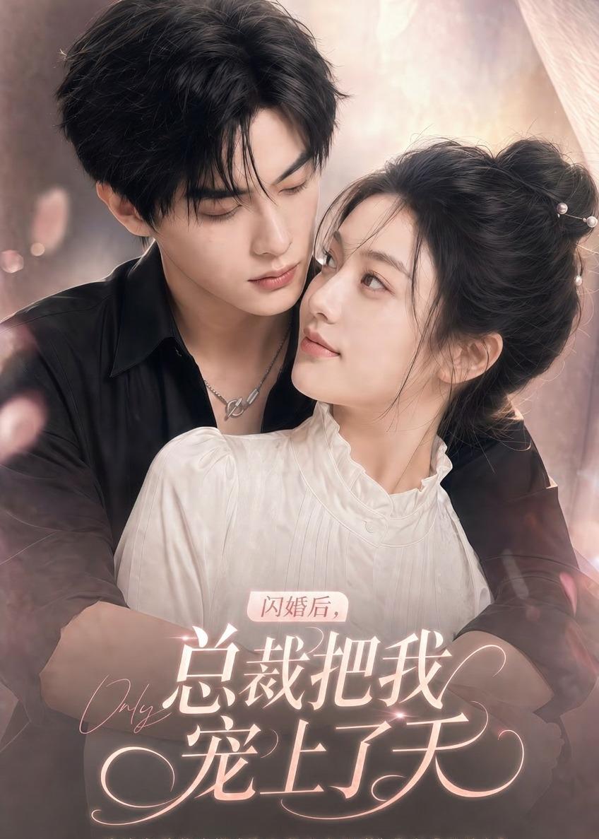 闪婚后，总裁把我宠上了天封面图