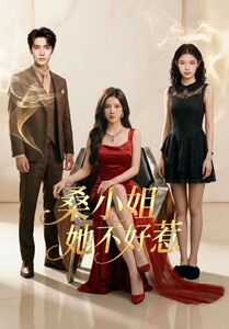 桑小姐她不好惹封面图
