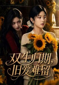 双生归期，旧爱难留封面图