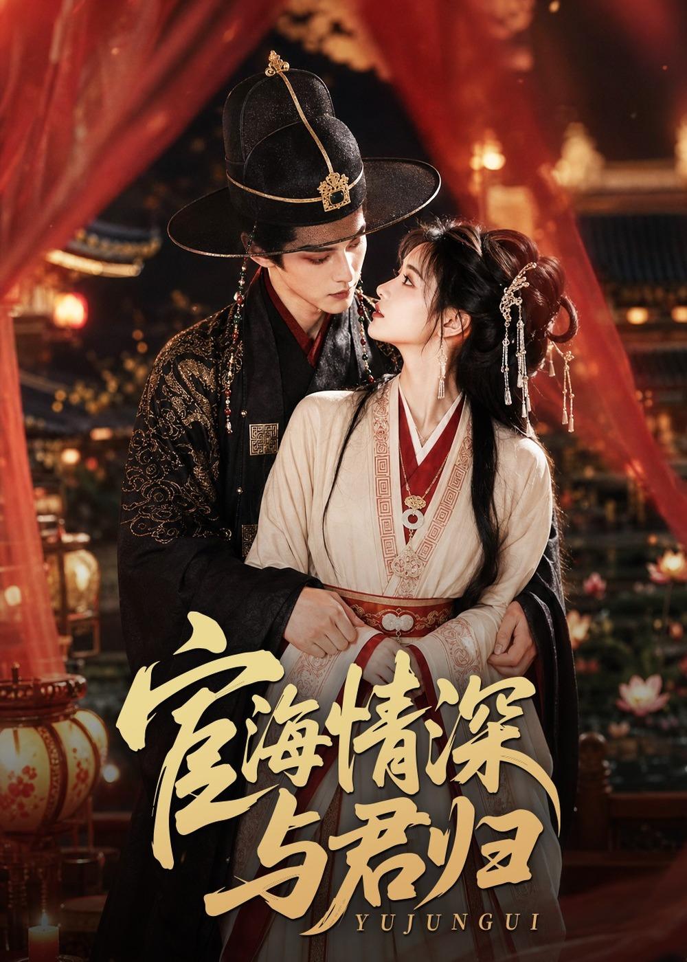 宦海情深与君归封面图