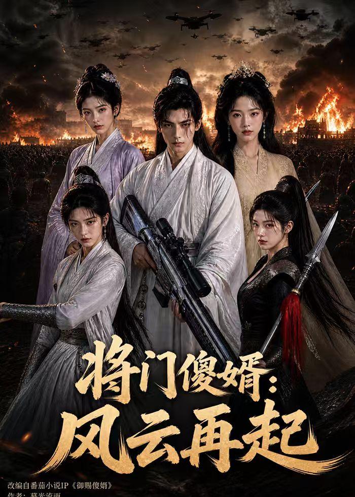 将门傻婿：风云再起封面图