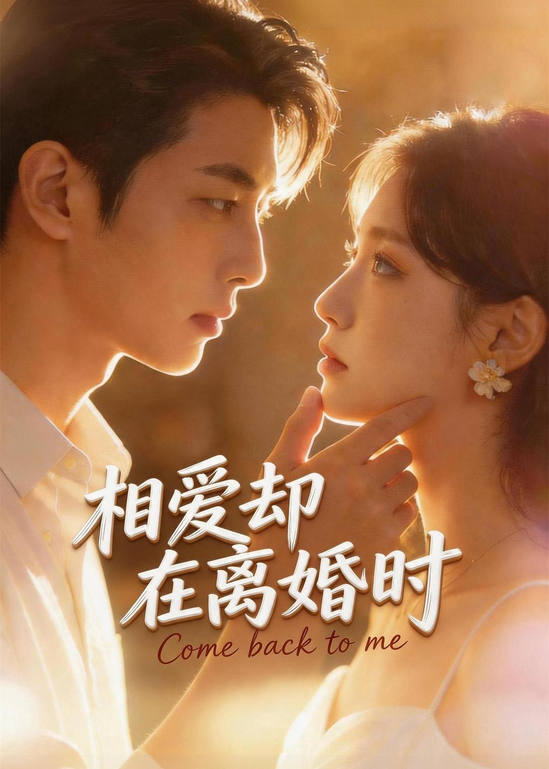 相爱却在离婚时封面图