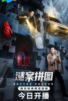 谜案拼图封面图