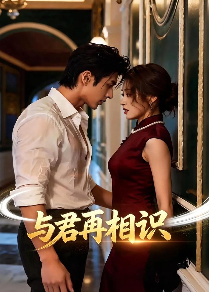 与君再相识封面图