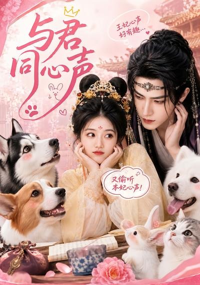 与君同心声封面图