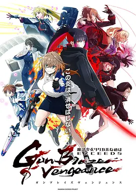 魔法少女奈叶 EXCEEDS Gun Blaze Vengeance封面图