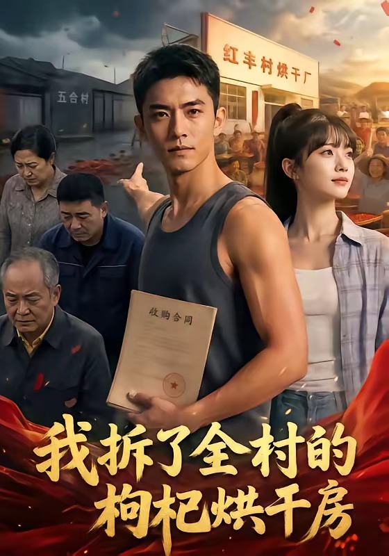 我拆了全村的枸杞烘干房封面图