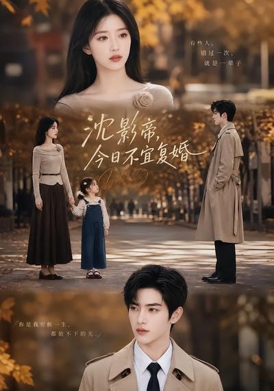 沈影帝，今日不宜复婚封面图