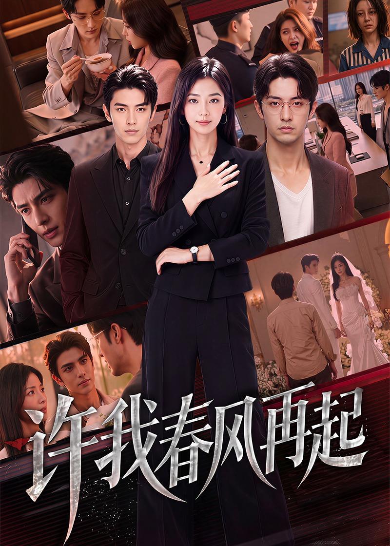 许我春风再起封面图