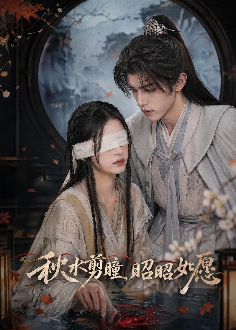 秋水剪瞳，昭昭如愿封面图
