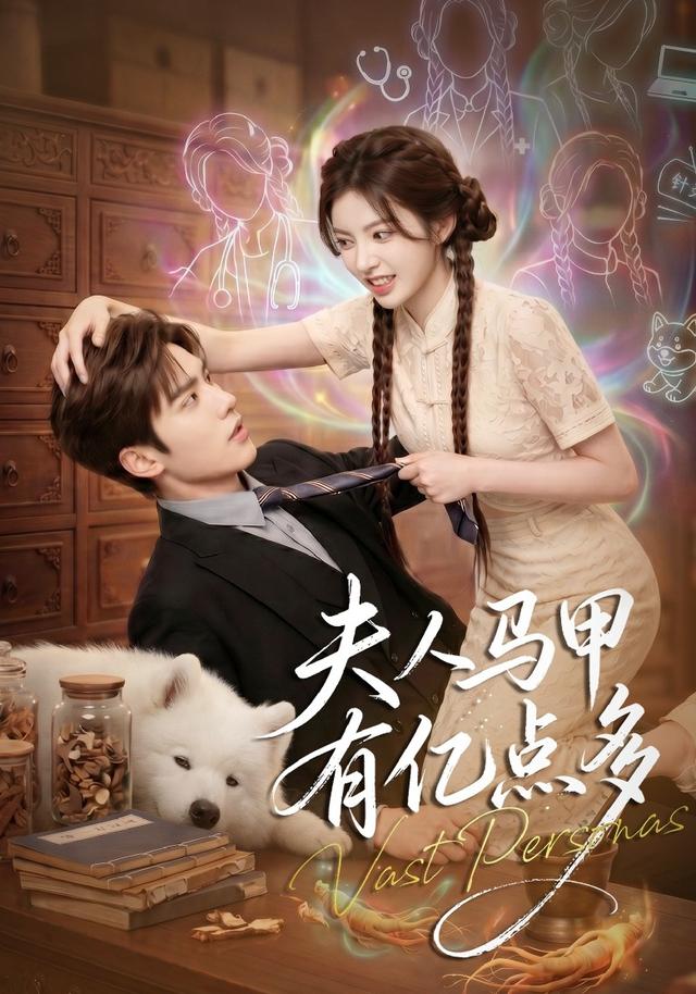 夫人马甲有亿点多封面图