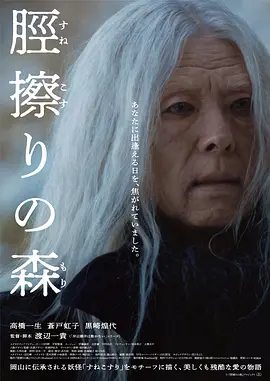 胫擦之森封面图