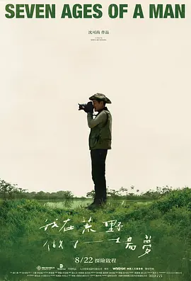我在荒野做了一场梦封面图