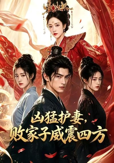 凶猛护妻败家子威震四方封面图