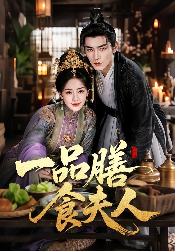 一品膳食夫人封面图