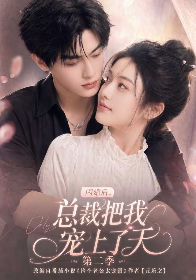 闪婚后总裁把我宠上了天2封面图