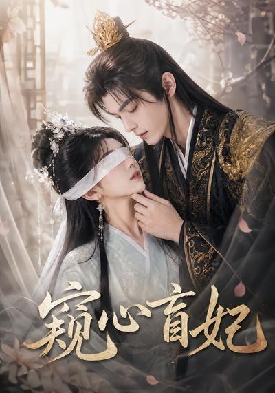 窥心盲妃封面图