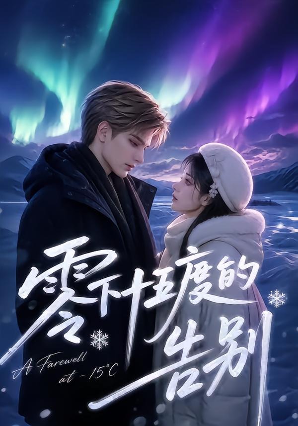 零下十五度的告别封面图