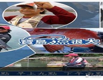 宝岛渔很大封面图