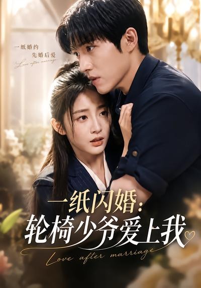 一纸闪婚轮椅少爷爱上我封面图