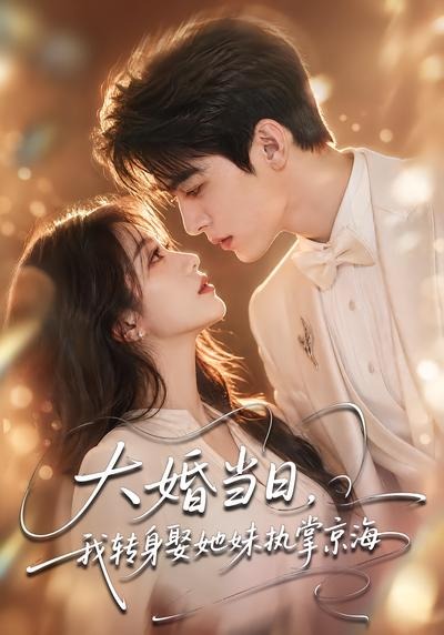 大婚当日我转身娶她妹执掌京海封面图