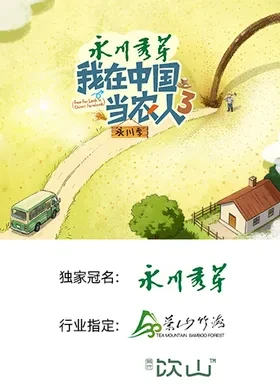 我在中国当农人3封面图