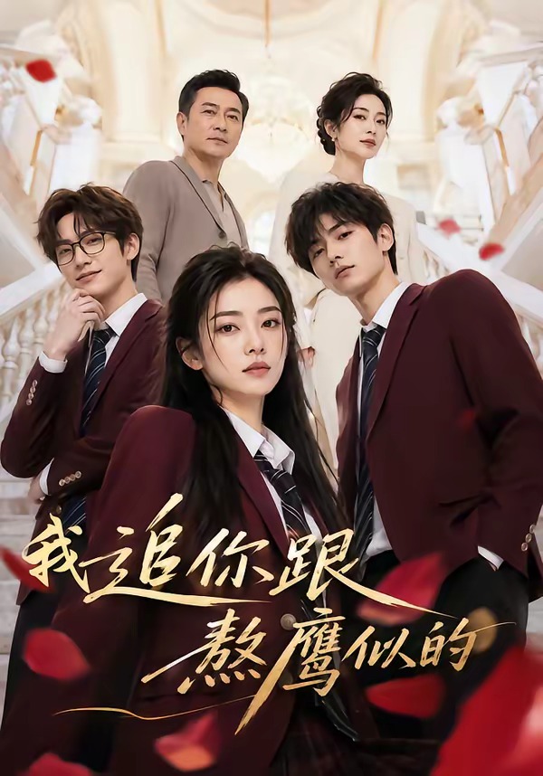 我追你跟熬鹰似的封面图
