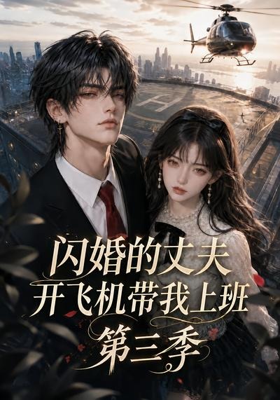 闪婚的丈夫开飞机带我上班3封面图