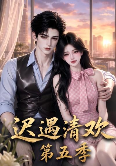 迟遇清欢5封面图