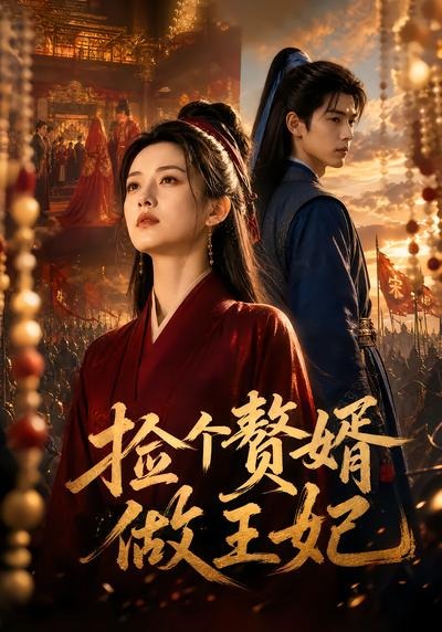 捡个赘婿做王妃封面图