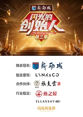 闪光的创始人3封面图