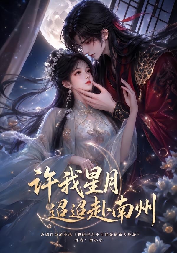 许我星月迢迢赴南州封面图