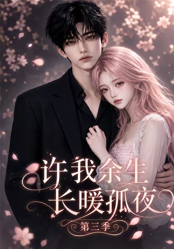许我余生长暖孤夜3封面图