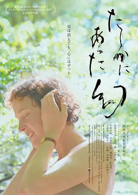 屋久岛的幻梦封面图
