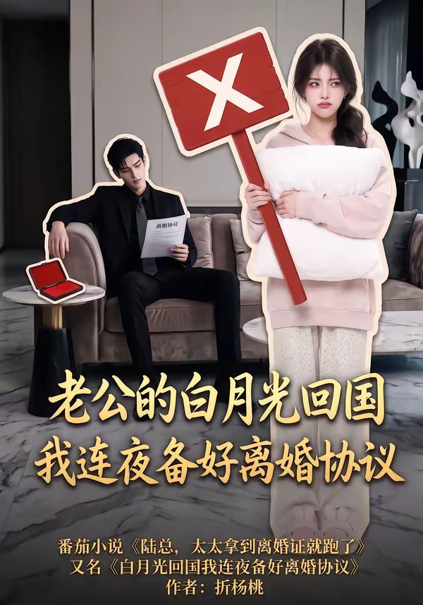 老公的白月光回国我连夜备好离婚协议封面图