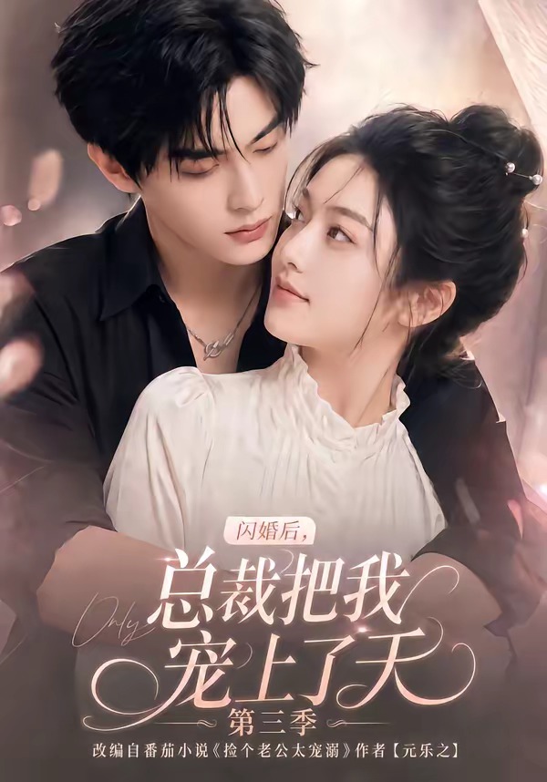 闪婚后总裁把我宠上了天3封面图